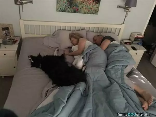 Half The Bed For Me