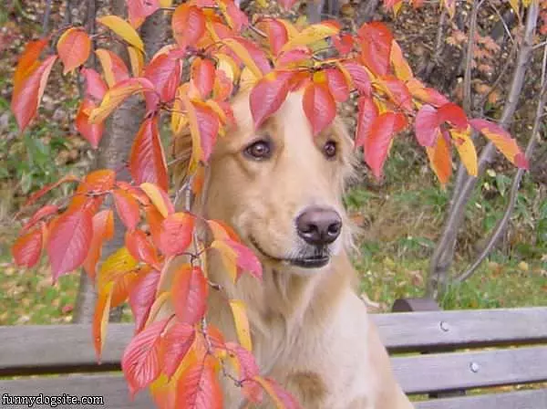 Nobody Can See Me Here