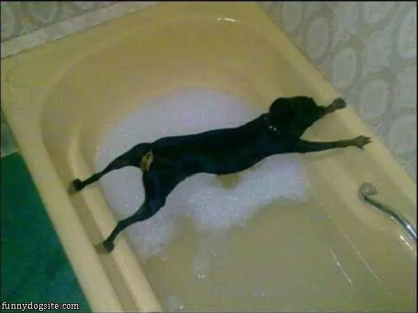 Do Not Want A Bath