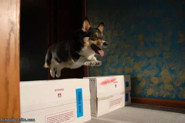 I Can Fly