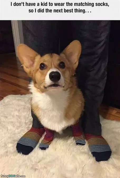 Matching Socks