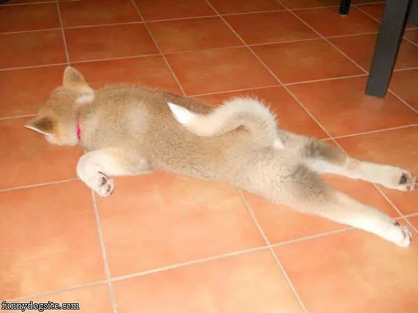 Sleep Where I Want