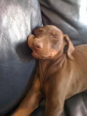 Sleeping A Little