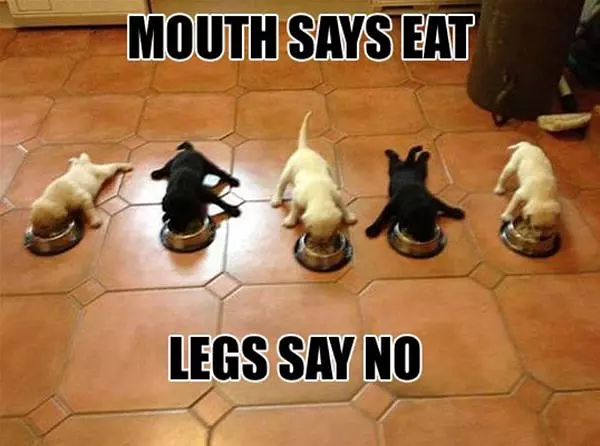 Mouth Says Eat