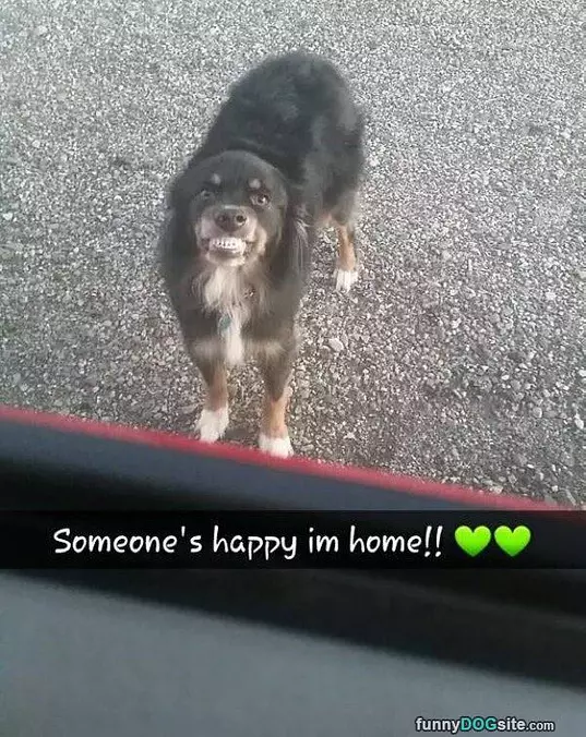 Happy To See You