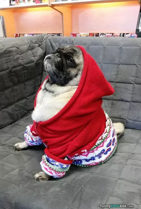 Majestic
