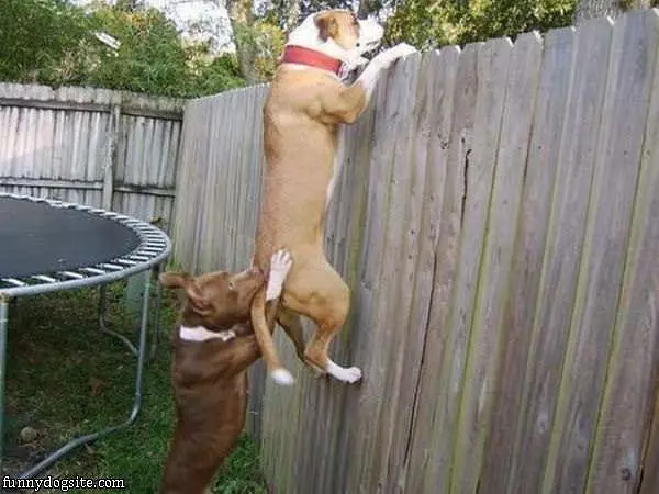 A Little Help Here