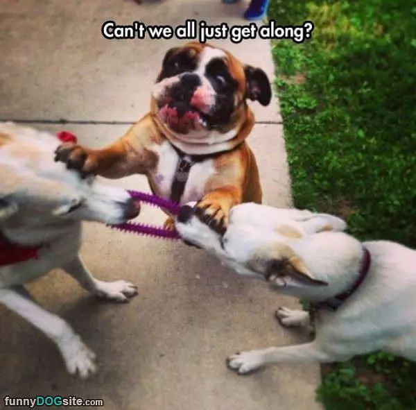 Just Get Along
