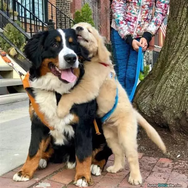 Hugging It Out