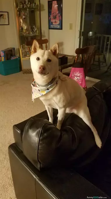 Sit How I Want