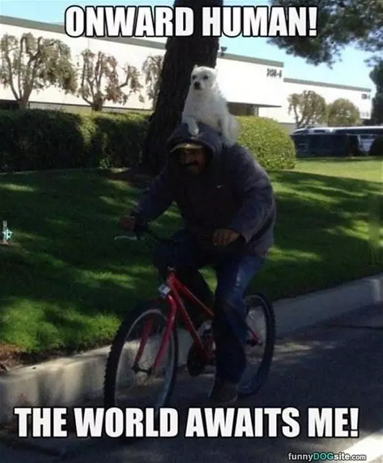Onward Human