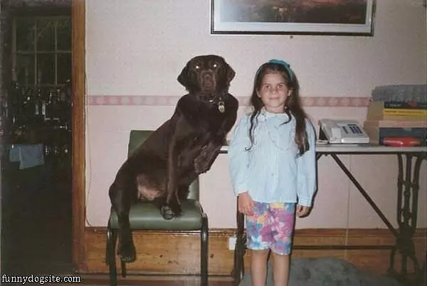 Cool Dog Posing