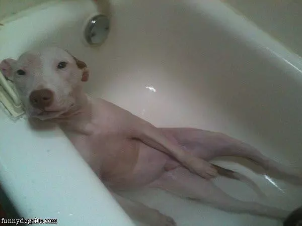 Its Bath Time