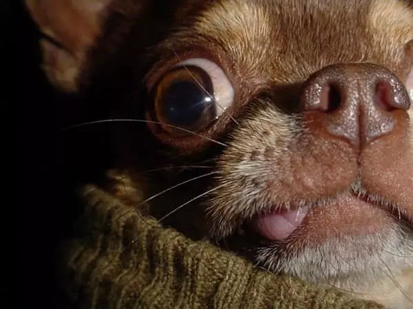Extreme Closeup