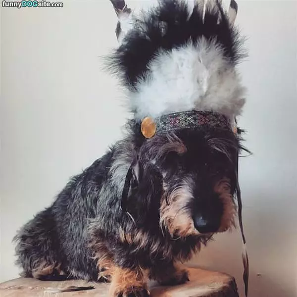 This Is Indiana Jones