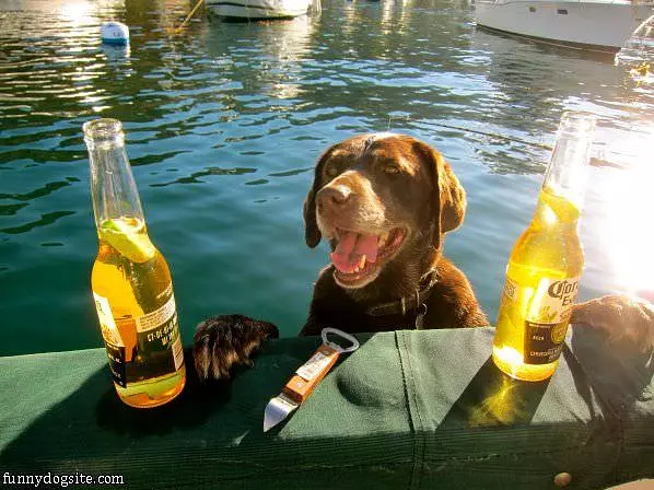 Corona Please