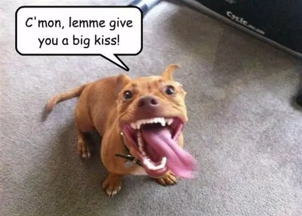 Big Kiss