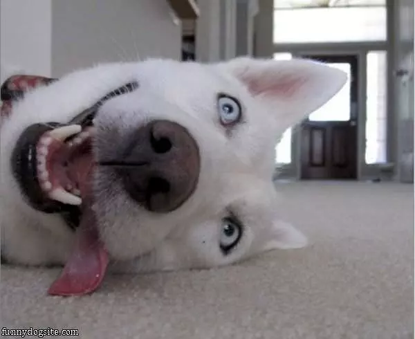 Ahhhhhhhhhh