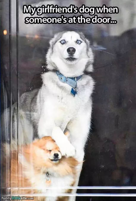 Someone At The Door