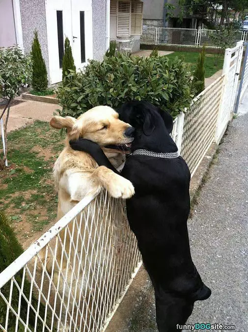 Hug It Out