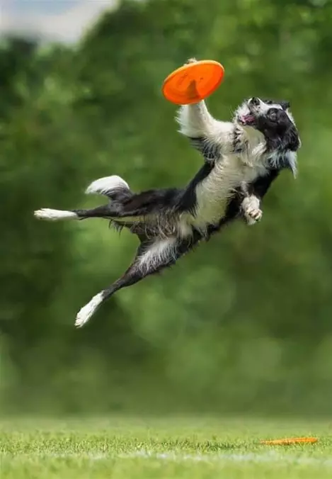 Jumping For It