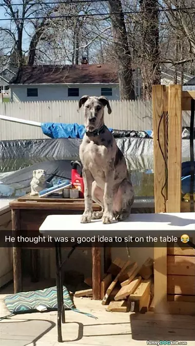 Sit On The Table