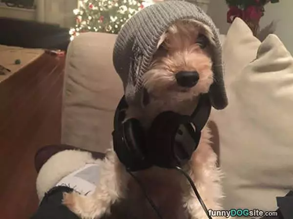 Dj Dog