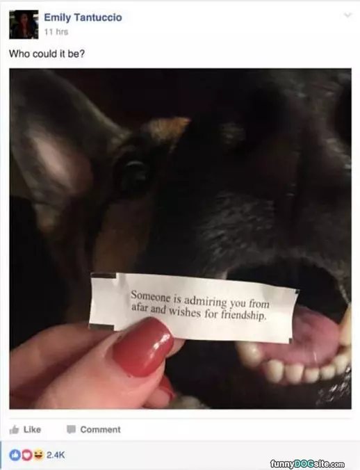 Someone Wants Your Friendship