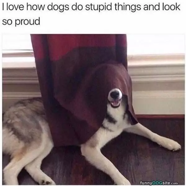 They Still Look So Proud