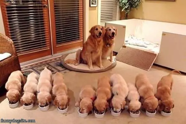Our Family