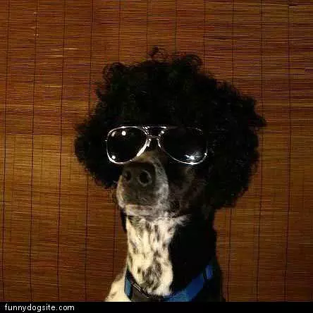 Afro