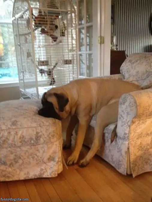 Lazy Days Here Again