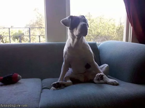 How I Sits
