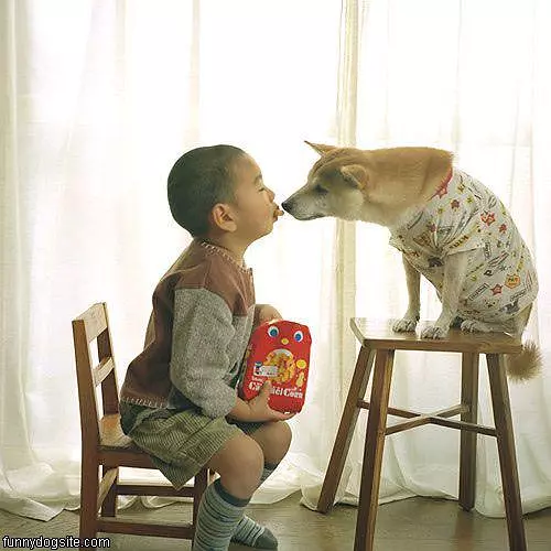 Anything For A Snack