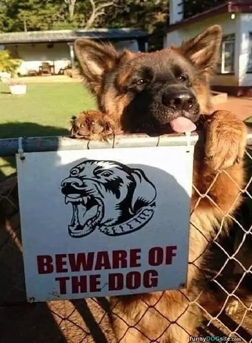 Beware Of The Dog