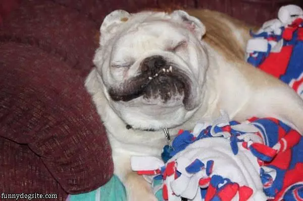 Just Sleeping