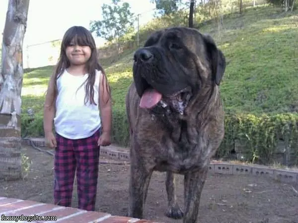This Is A Small Human