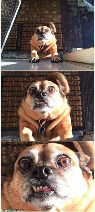 Extreme Closeup