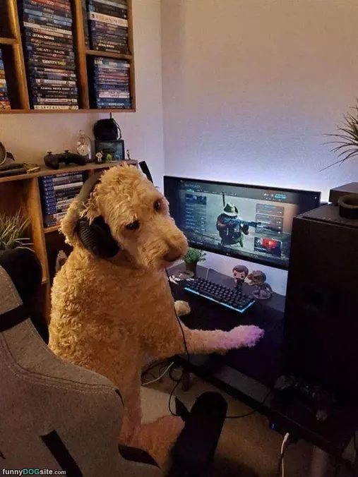 Time For Some Internets