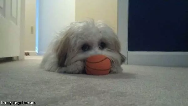 Sitting On The Ball