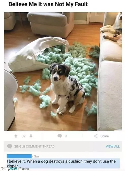 It Was Not My Fault
