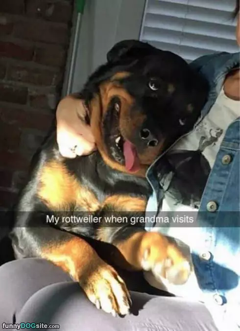 When Grandma Visits