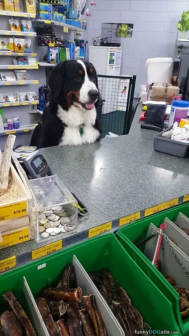 Can I Helps You