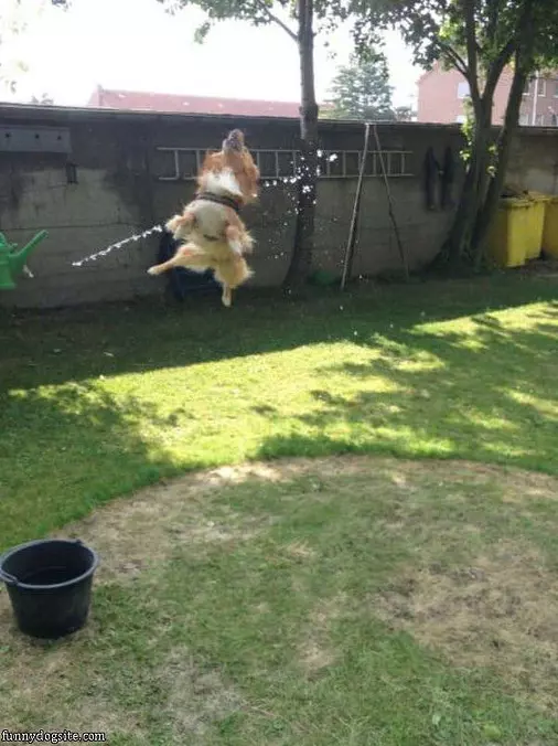 Super High Jumper