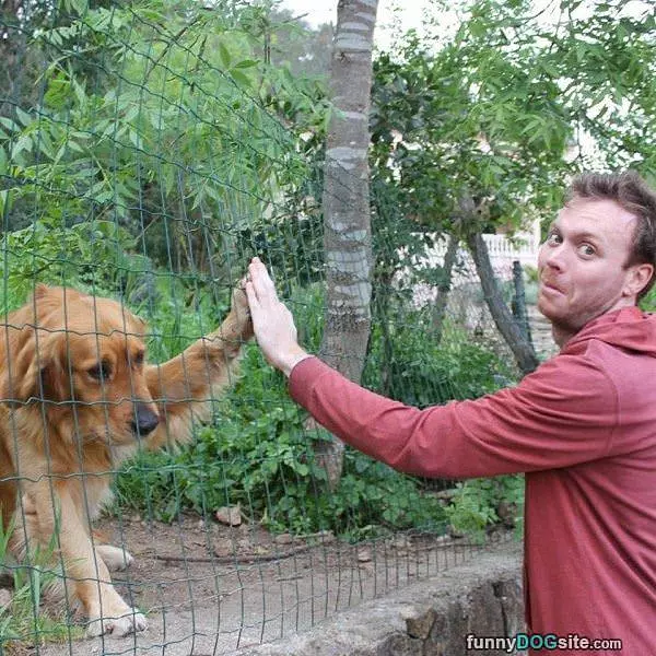 High Five Dude