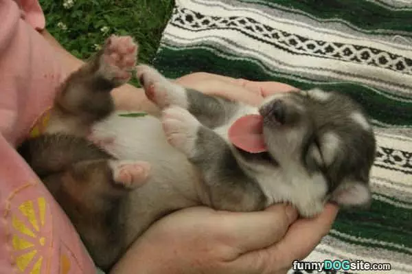 So Very Sleepy