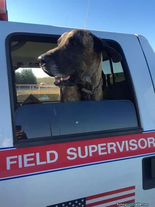 Supervisor