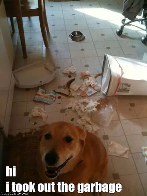 Took Out The Garbage