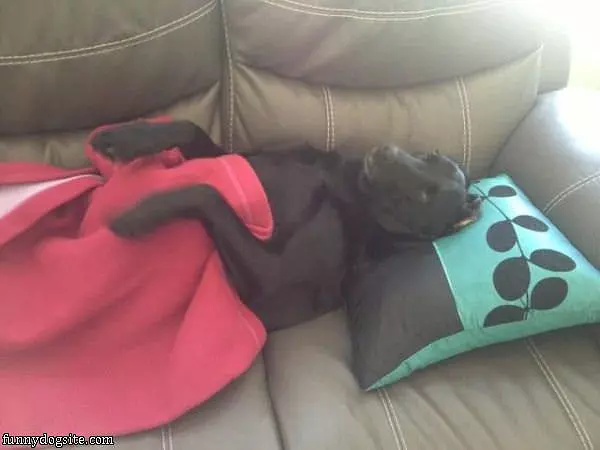 Laying Here On My Back