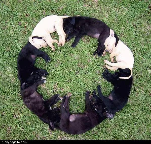 Circle Of Sleep